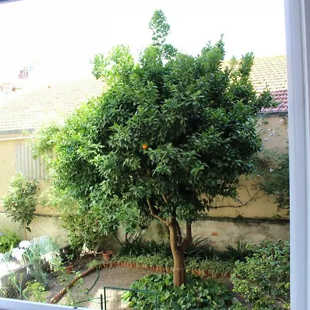 Amazing With Terrace